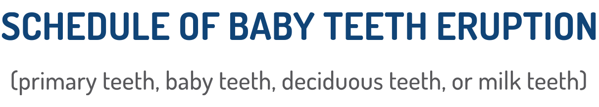 Schedule of Baby Teeth Eruption